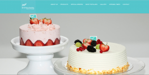 Shirinisara web design and photograpy project